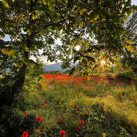 Casa Margherita 度假居 *