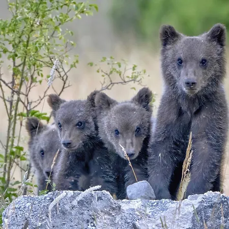 Casa Margherita Holiday home