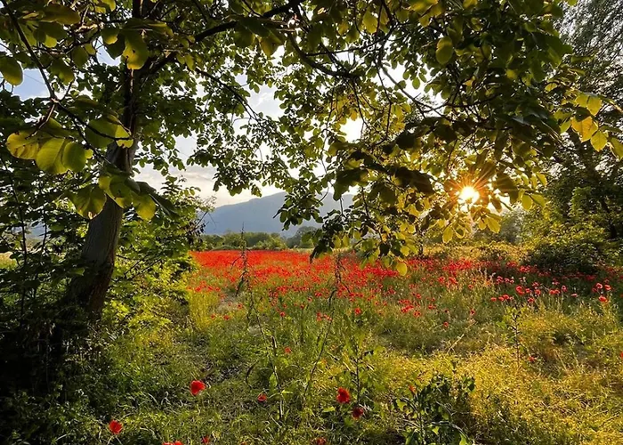 Casa Margherita 別荘 *