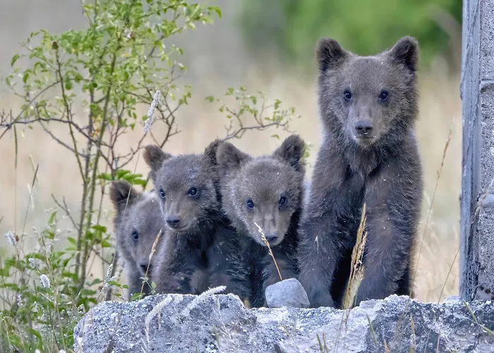 Casa Margherita 別荘